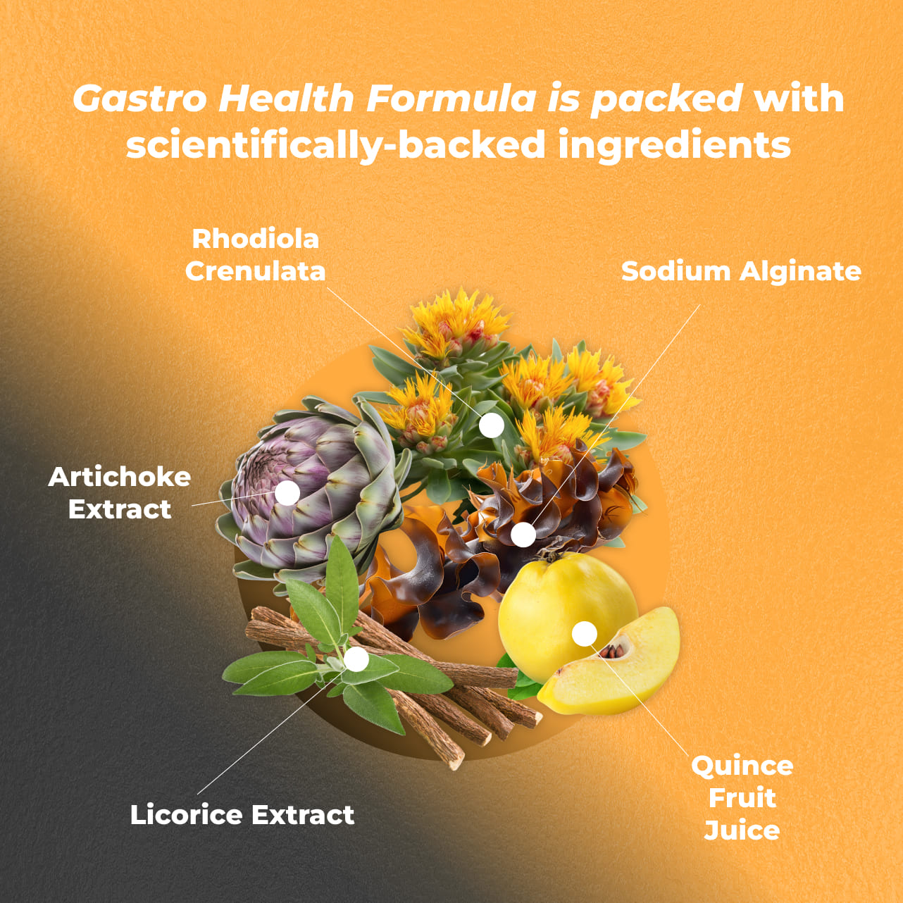 Gastro Health Formula