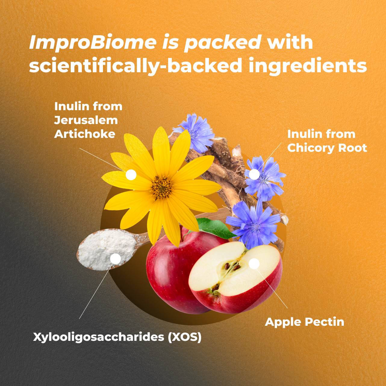 ImproBiome