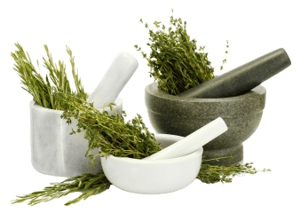 herbs